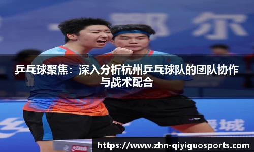 乒乓球聚焦:深入分析杭州乒乓球队的团队协作与战术配合